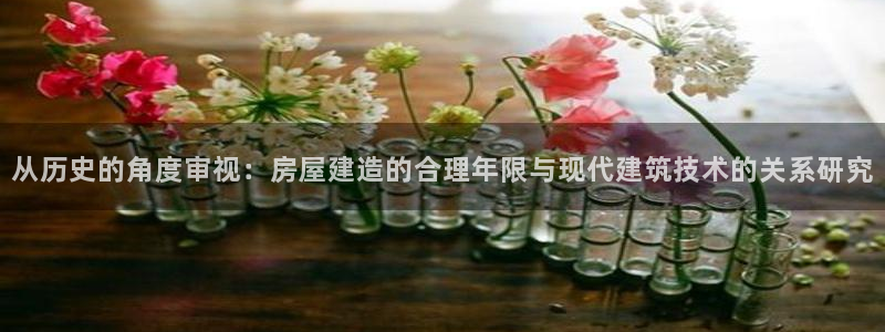NG体育系统